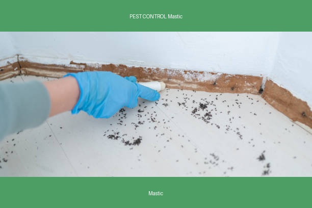 PEST CONTROL Mastic